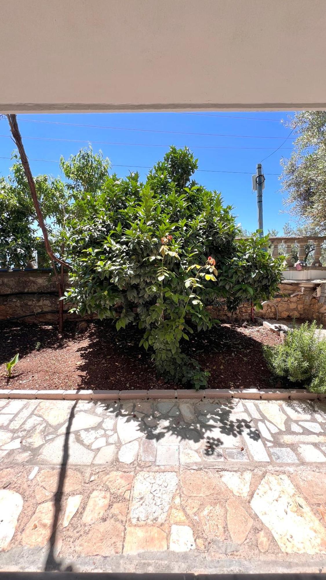 Petra Oliva Apartment Dhermi Exterior photo